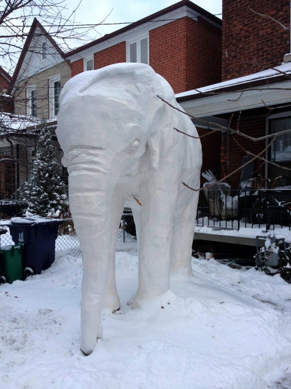 un éléphant en neige